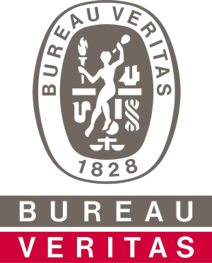 Bureau Veritas logo small